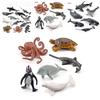 Marine Animal Pvc Model With Realistic Design For Education And Collection