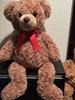 [USED] Teddy Bear (large)