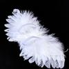 Pet Feather Baby Kids DIY Sew Accessories Photography Props Angel Wing Hanging Ornements