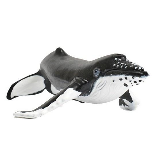 Safari Ltd Figure 202029 Humpback Whale, 1 Piece, Popular Toys In Korea
