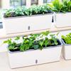 Long Narrow Vegetable Planter Trough Set