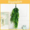 Simulation Boston Fern Green Plants Decorative Accessories Hanging Walls Indoor
