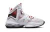 Nike LeBron 19 Sketch GS DD0418-101