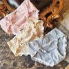 New Underwear Cute Cotton Briefs Sweet Fairy Sexy Low-rise Panties for Women