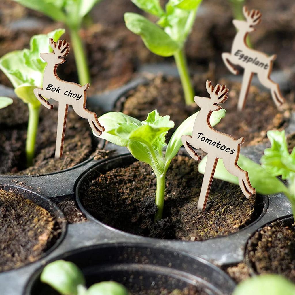 Бирки для растений Т-типа, 30 шт. Этикетки для деревянных растений, садовые бирки с маркером для цветов, суккулентов, декоративных цветов, вывеска для растений, садовые маркеры