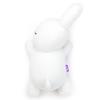 Bruna Sleeping Friend Plush Toy, Medium, Rabbit (White)