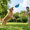 Bite-Resistant Interactive Dog Toy Durable Puppy Chew Toy Pet Teeth Cleaning Toy  Outdoor Game