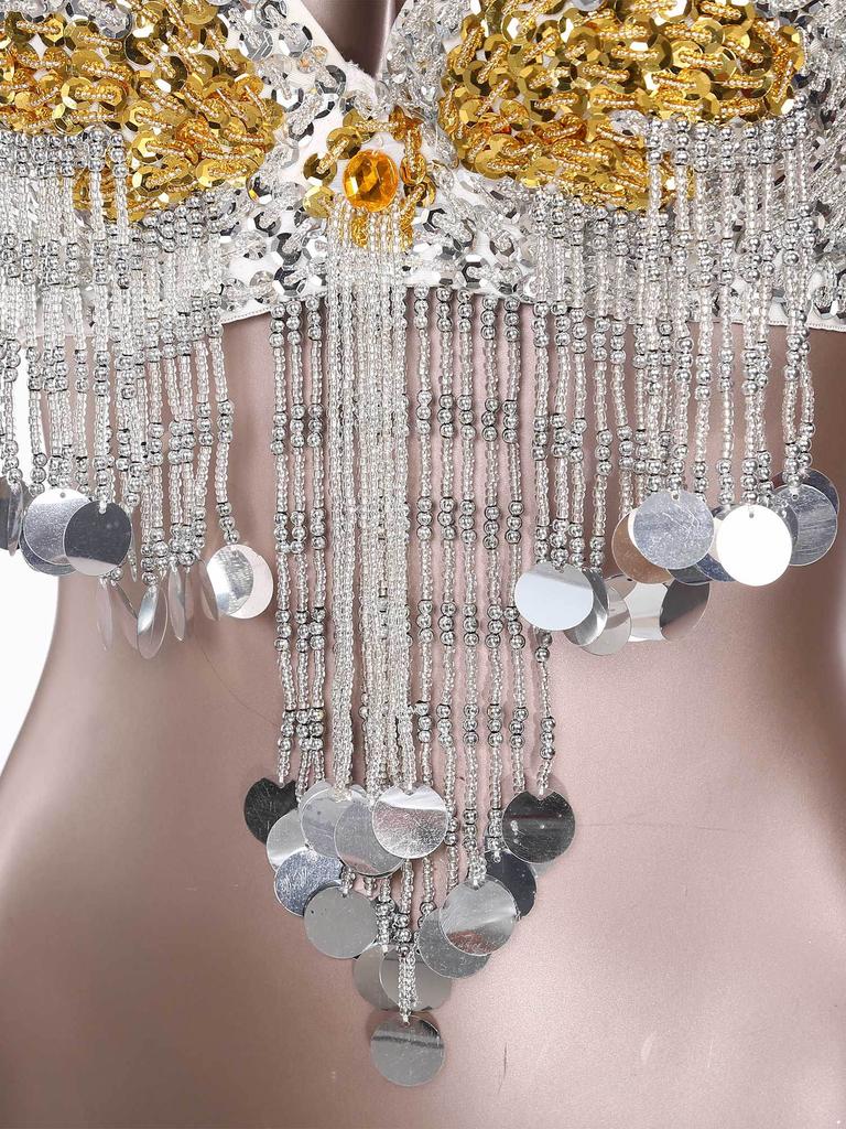 Women Music Festival Club Dancing Costume Shiny Belly Dance Bra Tops Tassel Sequined Costume Carnival Outfit Dancewear