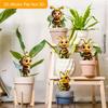 2D Flat 5-piece Set Cute Bee Friend Acrylic Garden Decoration for Patios, Lawns and Potted Plants - Ideal Holiday Gift