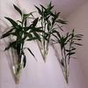 Transparent Wall Hanging Vase Hydroponics Plants Flowerpot Plant Propagation Vase  Wall Decor