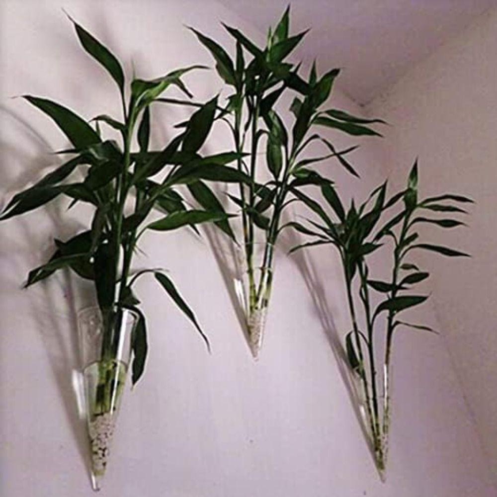 Transparent Wall Hanging Vase Hydroponics Plants Flowerpot Plant Propagation Vase  Wall Decor