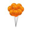 Colorful 12 Inches Safari Theme Party Balloons Perfect For Jungle Animal Birthday Decorations And Festive Events