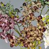 2 Fork Artificial Phalaenopsis Branches Real Touch Handmade Artificial Butterfly Orchid Flower Realistic Fake Flowers