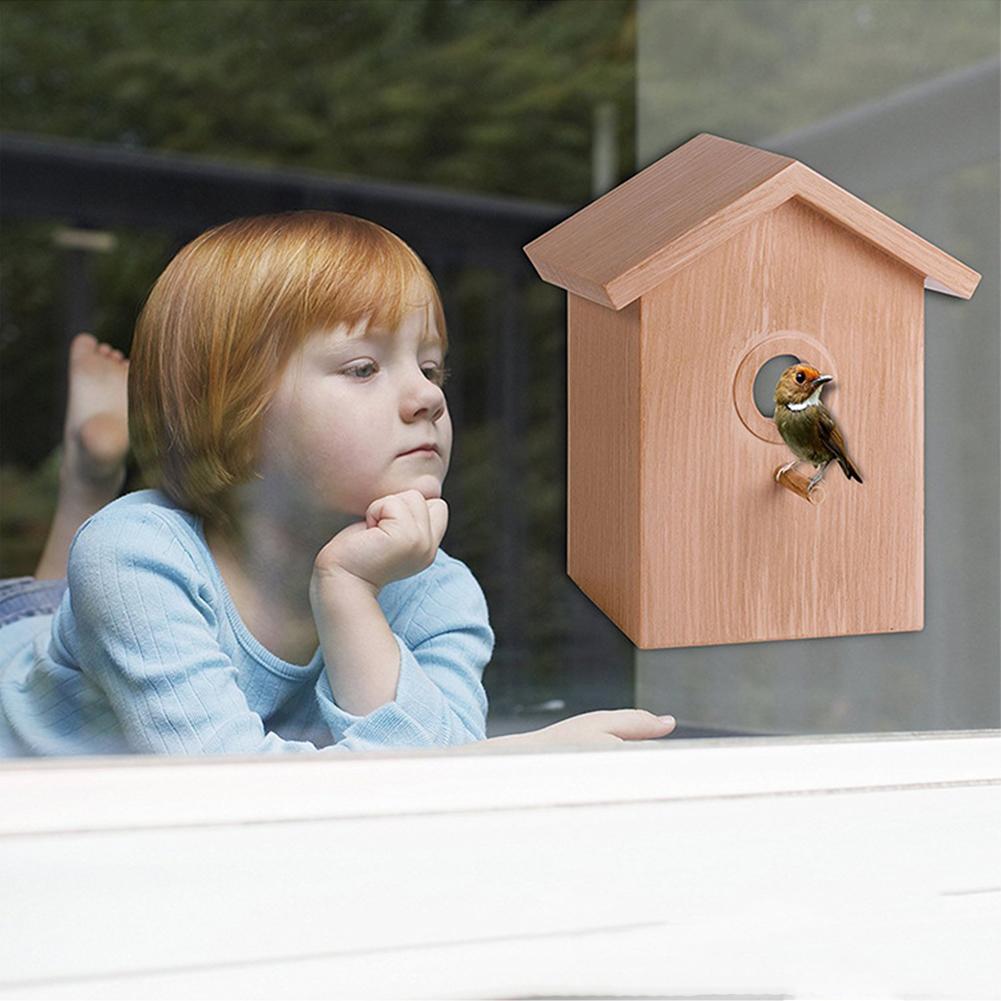 21cm Outdoor Bird Nests With Strong Suction Cups Wooden House Design Visible Bird Home House Bird Feeder Tools