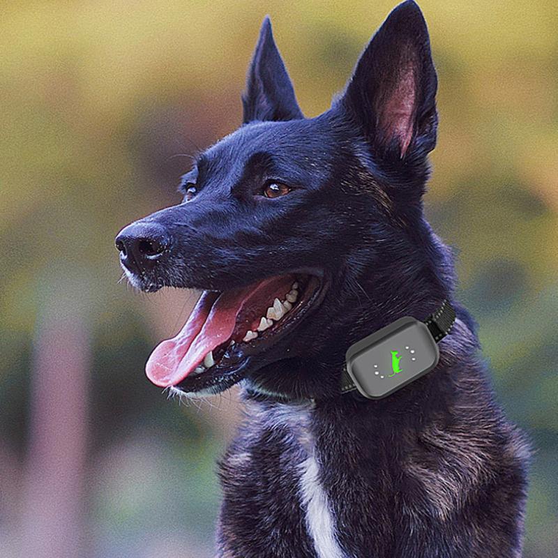 Bark Collar Remote Bark Training Collar With Remote Long-Distance Reminder Waterproof Dog Collar For Dogs Of All Sizes