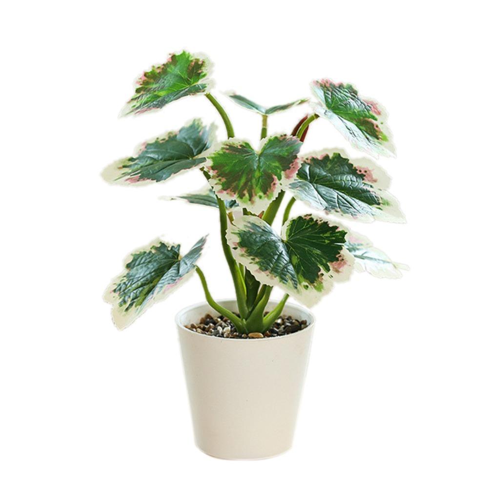 green evergreen foliage potted table ornament hotel guest room shelf display decor