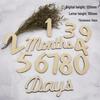 Деревянный календарь вех развития ребенка и реквизит для фотосессий на 100 дней и ежемесячные празднования