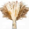 110 шт. Натуральный сушеный букет пампасной травы Бохо Домашний декор Фрагмиты Букет из сухих цветов для свадебной цветочной композиции