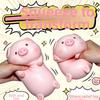 Cute Pig Pinch Le Slow Rebound Squishy Fingertip Toy Pig Squeeze Toy  Office Stress and Tension