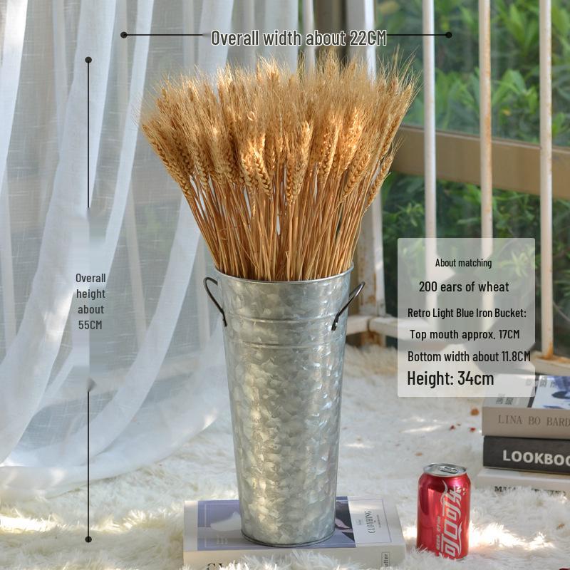 Natural Wheat Ear Dried Flower Bouquet: Barley Decor for Living Room, Bedroom, or Shop