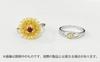 Strawberry Nauts HD Memorial Plus Dandelion Ring -Full Promise/Memory