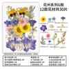 Набор натуральных сушеных цветов для DIY-искусства из эпоксидной смолы с засушенными цветами