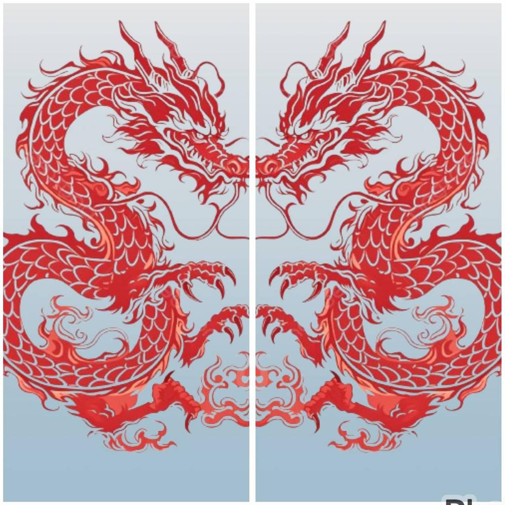 Twin Dragons Muay Thai Kickboxing Boxing MMA UFC Casual Shorts Gym Sport Unisex Men Women Workout Quick Dry Print Elastic High Waist Training