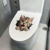 Милая наклейка на унитаз с котиком, украшение для стены ванной комнаты, съемный водонепроницаемый виниловый арт для туалета и уборной