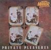 Виниловая пластинка РАЗЛИЧНЫЕ Private Pleasures RM2 Record Mirror 1978 UK Рок Б/у