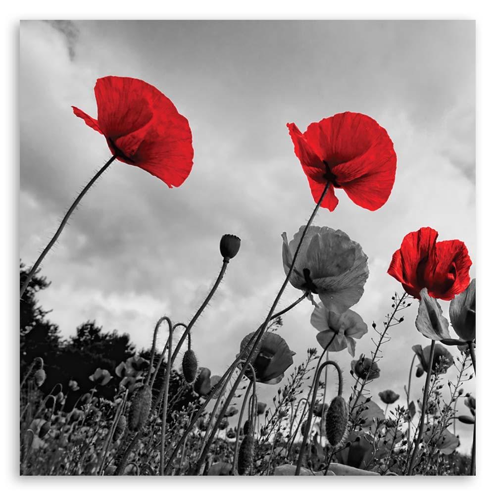 Печать на холсте Красные маки поле природа