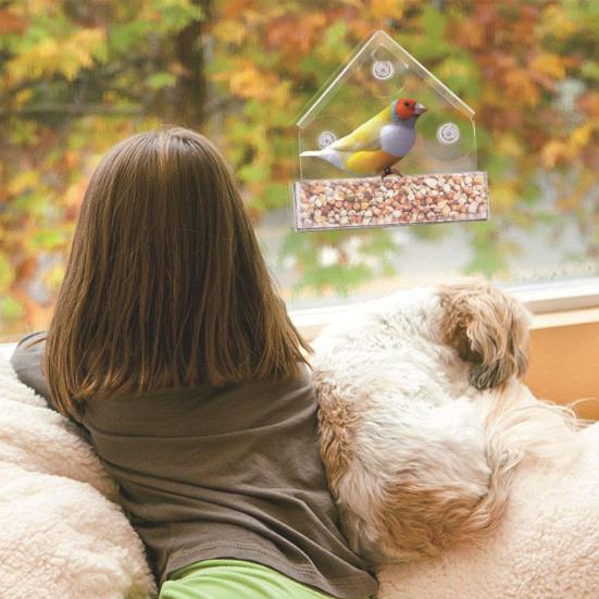 House Shape Bird Feeder with Suction Cup Acrylic Food Case Hummingbird Feeder Pet Supplies
