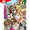5D Diamond Painting Cat Diamond Embroidery Full Display Animal Mosaic Full Round Rhinestone