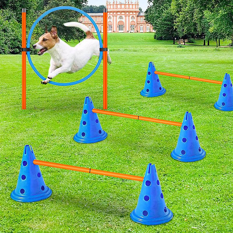 Dog Agility Training Set: Jump Ring, Bar, and Weaving Poles