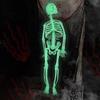 Halloween luminous skull skeleton body, halloween decoration,scary halloween toy haunted house tricky prop halloween toy halloween decoration