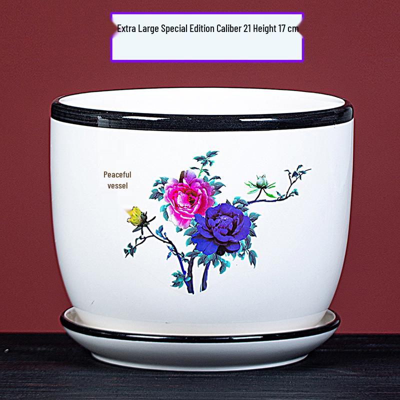 Large Ceramic Flower Pot with Saucer for Indoor or Balcony Plants