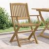 VidaXL Set of 2 Folding Garden Chairs, Seats with Backrest, Outdoor Patio Terrace Furniture, Modern, Solid Wood 365741
