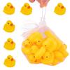 HannaFires 20-Piece Soft Rubber Ducks with Long Eyelashes - Soothing Squeeze Stress Relief Toys, Easy-to-Swim Water Play, Perfect for Summer and Pool
