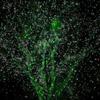 Уличный Садовый Лазерный Свет Водонепроницаемый Рождественский Проектор Освещение С Замком Безопасности 3 Цвета Красный, Зеленый