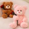 Cartoon Rose Bear Teddy Bear Doll Plush Toy Hug Bear Doll Girl Rag Doll Birthday Gift