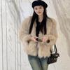 2024 зима новая искусственная шуба из лисьего меха женская короткая модная норковая плюшевая шуба из енота