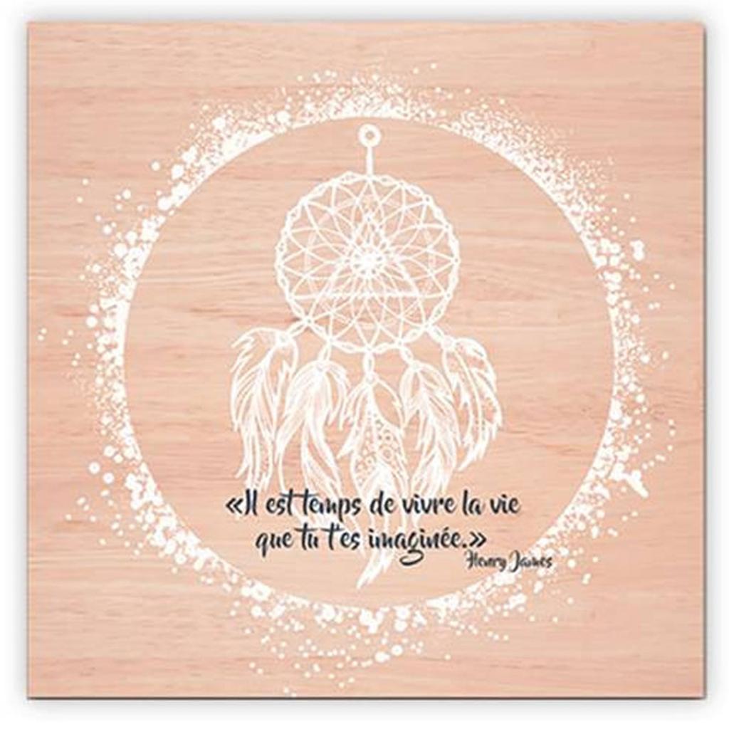 Les Trésors De Lily [A2234] - Beige 'Dreamcatcher' Zen Canvas (it's Time To Live the Life You Imagined - Henry James) - 40x40cm