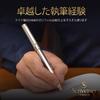 Ручка-роллер Scriveiner Premium, привлекательная красота, отделка золотом 24 карата, чернила Schmidt со стержнем, серебристый хром (Серебристый хром)