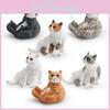 Realistic Cat Pvc Model Ornament For Kids Playroom Decor And Educational