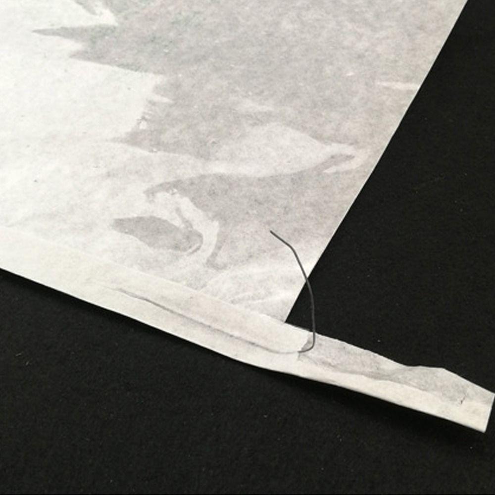 100pcs Semi Transparent Grape Protection Bags Waterproof Against Insect Pouch Garden Tool