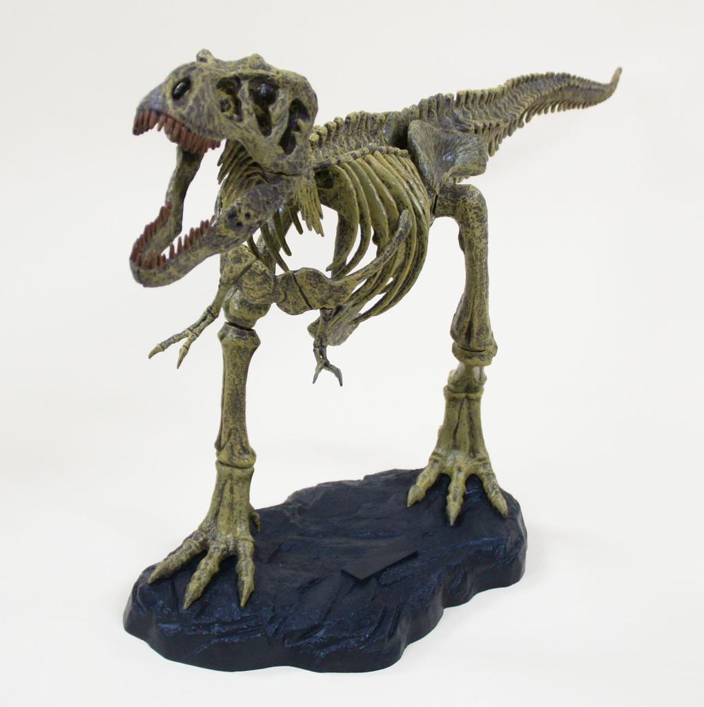 Набор для сборки скелета тираннозавра рекса T-REX (средний)