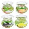 4pcs 1:12 Scale Miniature Glass Goldfish Bowl DIY Fish Bowl Glass Fish Tank Dollhouse