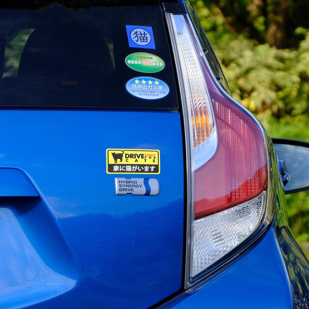 There is a Cat in the House Dash Cam Style Safe Driving Magnetic Sticker Weather and Resistant