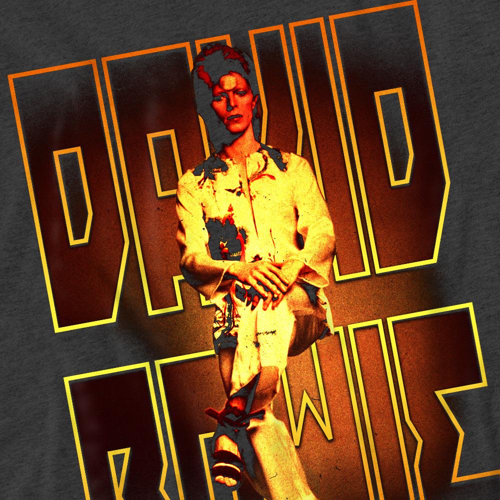 David Bowie Unisex Adult Perched T-Shirt