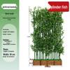 Artificial Bamboo Decorative Partition & Landscaping Set