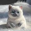 Сквиши-игрушки-кошки, Милые сквиши для взрослых/детей, Большие сквиши-лапки кошки, Мягкие имитирующие сквиши, Антистрессовые мячики с флокированной поверхностью,